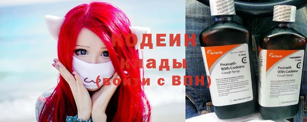 шишки Заволжск