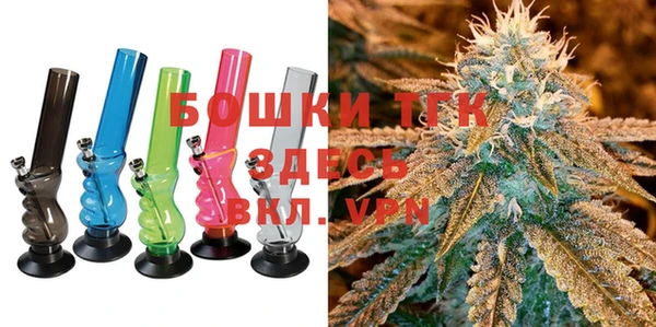 шишки Заволжск