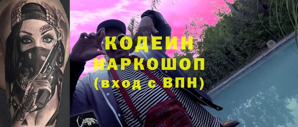 шишки Заволжск
