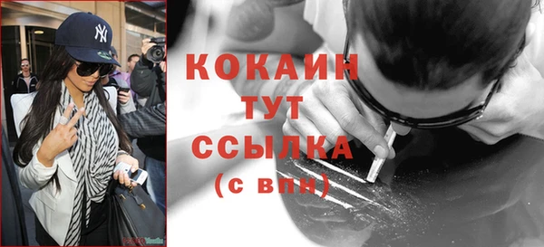 дурь Заводоуковск