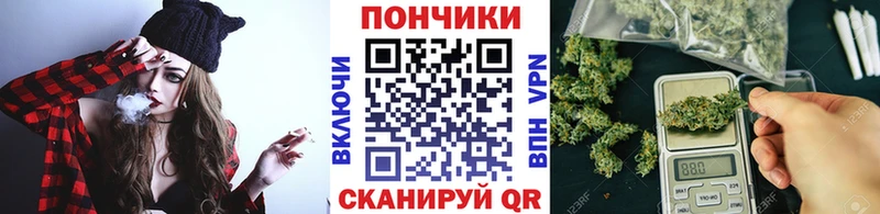 Купить закладки  Цивильск  Бошки марихуана AK-47 
